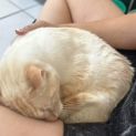 Photo of Snowy