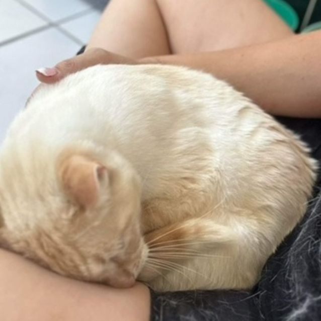 Photo of Snowy