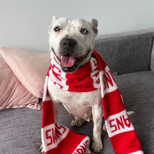 Nala tiny girl loves cats