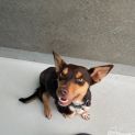 Photo of Tilly