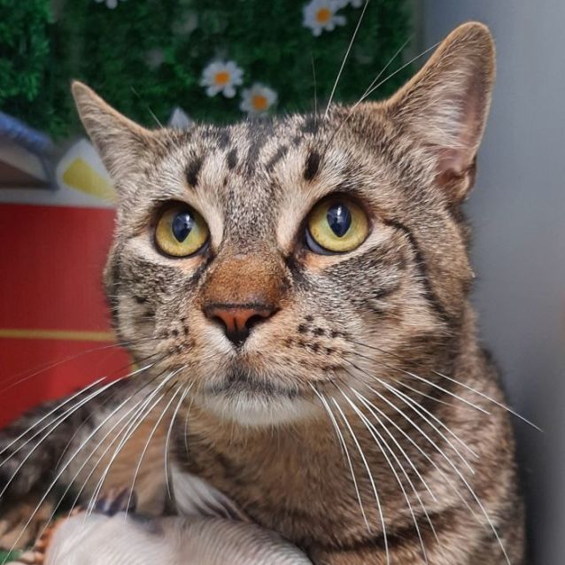 Photo of Walter
