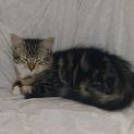 Photo of Chloe