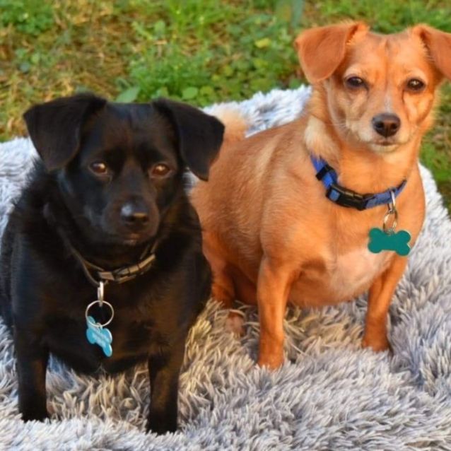 Photo of Daphne And Shaggy