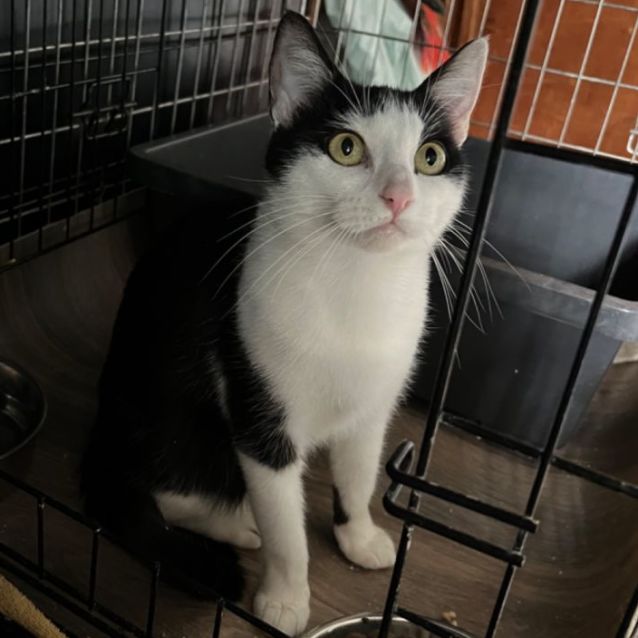 Photo of Penny   Can Transport To You