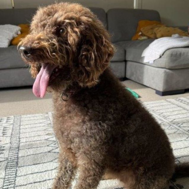 Photo of Molly Haliwell