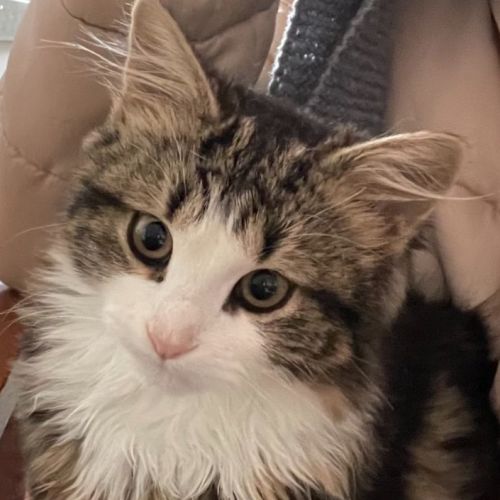 Mary Kate - Located in Preston