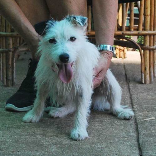 Nola *On Trial in Her New Home*