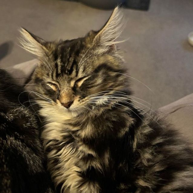 Photo of Lucy   Located In Surrey Hills