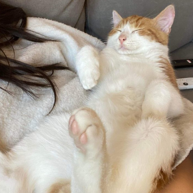 Photo of Duke Of Sussex