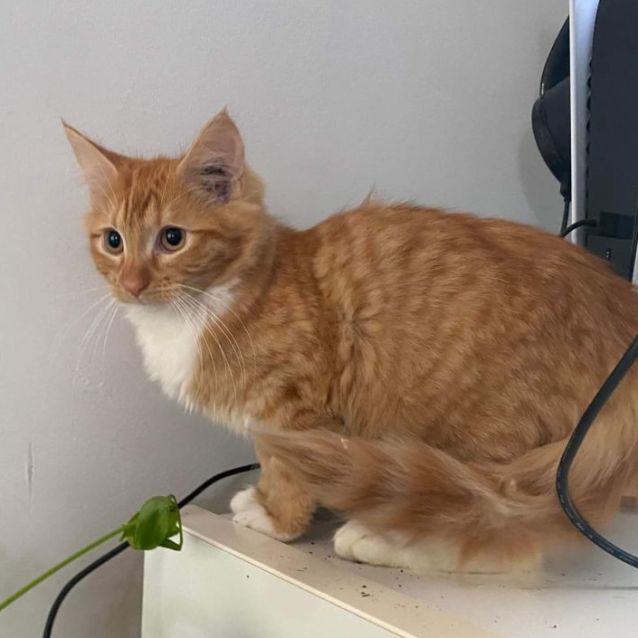 Photo of Marida (Located In Maryknoll)