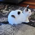 Photo of Lillian
