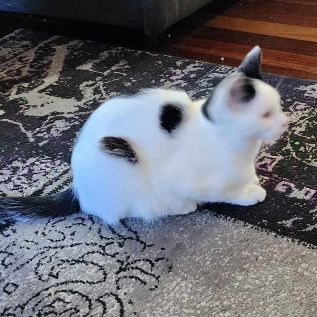 Photo of Lillian
