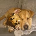 Photo of Ralph