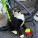 Photo of Tristan