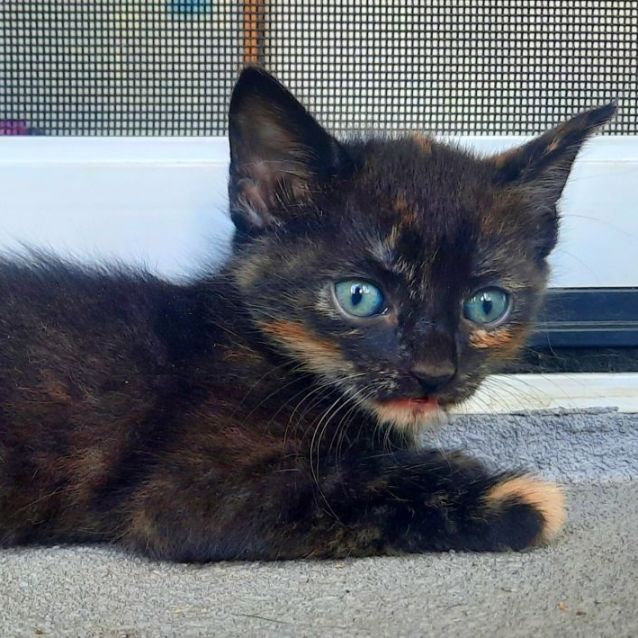 Photo of C1276 Clancy