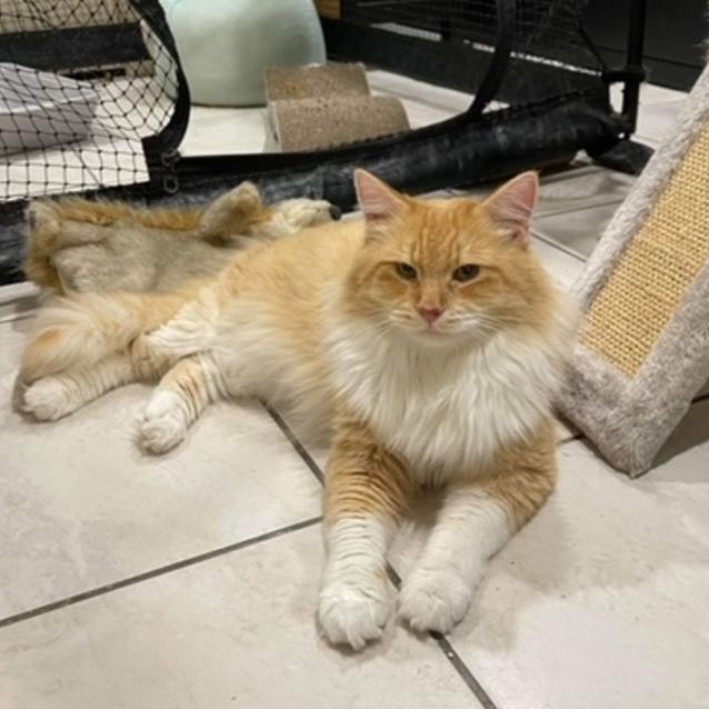 Photo of Sunny