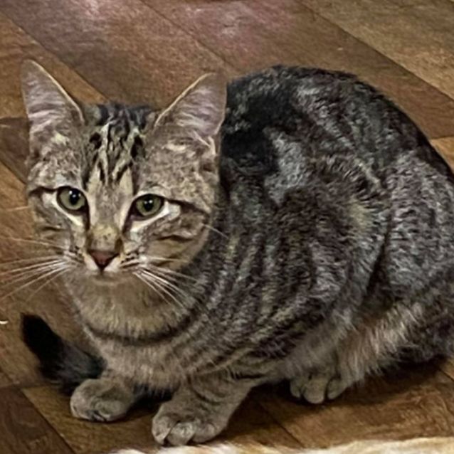 Photo of Sachi