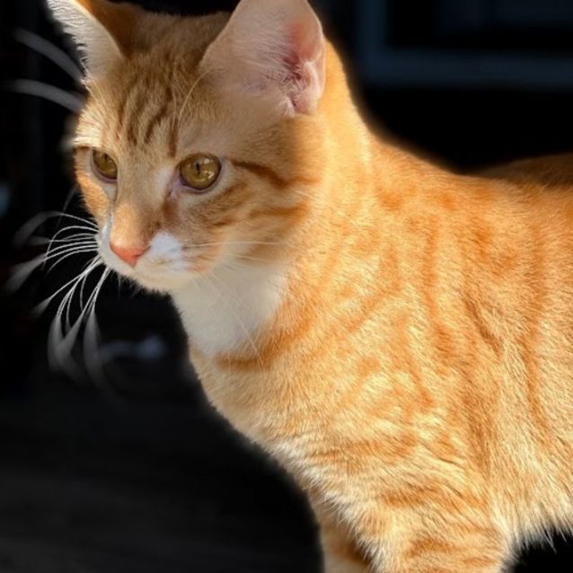 Photo of Arthur