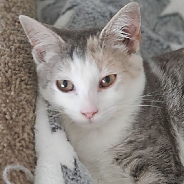 Photo of Penelope 🌷