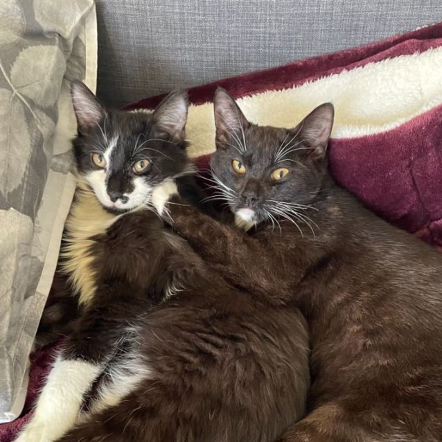 Photo of Ben And Bill
