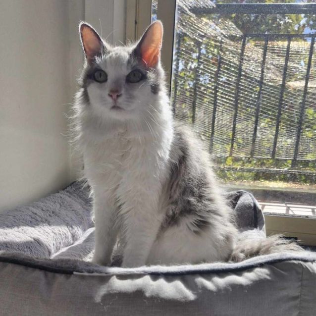 Photo of Jonte And Daisy