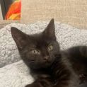 Photo of Patti Located In Preston