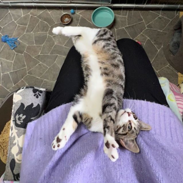 Photo of Soda   Can Assist With Transport