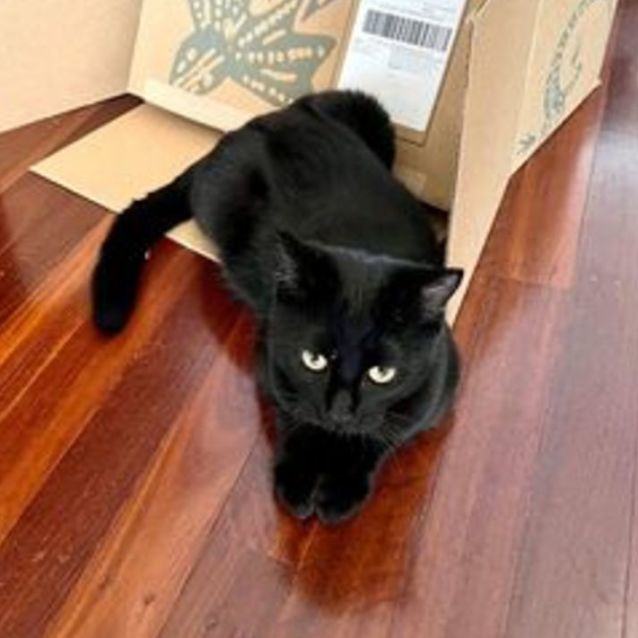 Photo of Liquorice