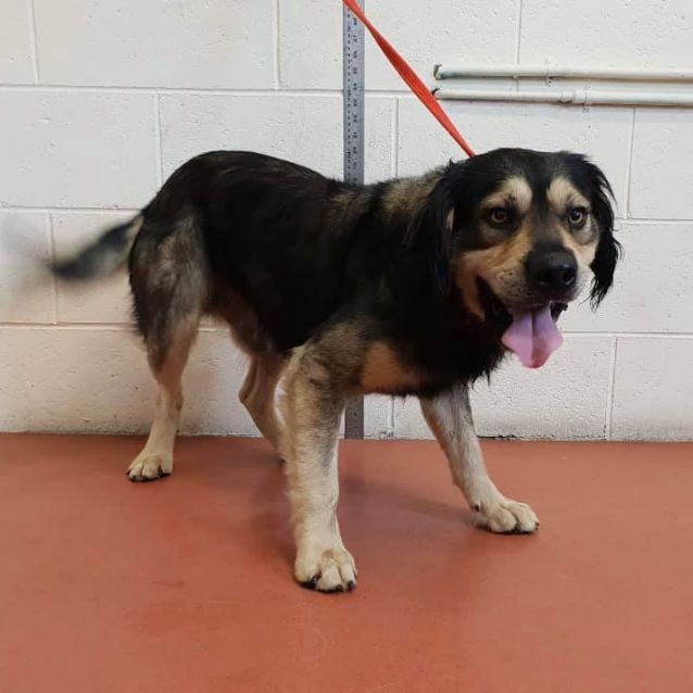 Photo of Zurgo Db542