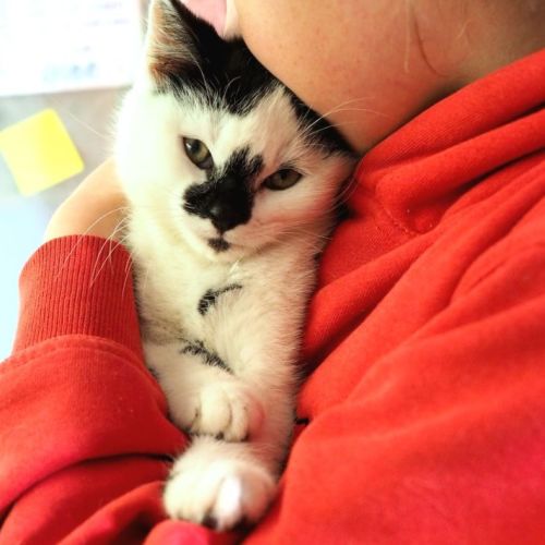 🖤🤍 Quill 🤍🖤