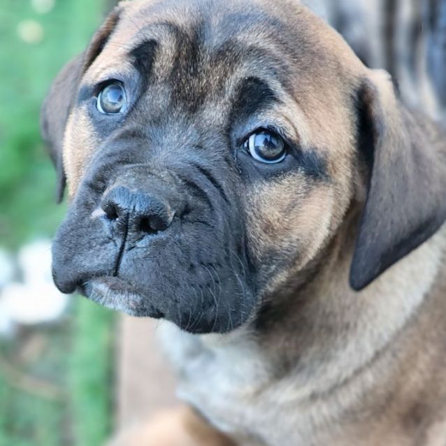 Photo of Dolly Parton