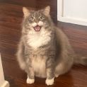 Photo of Scott   Located In Brunswick West