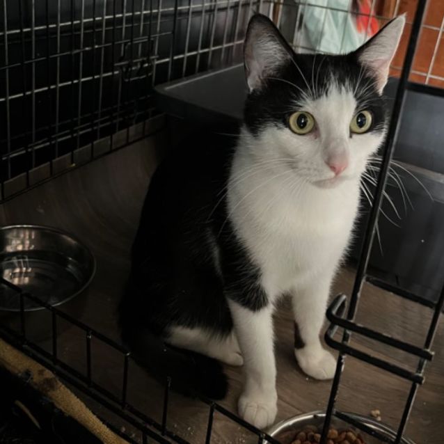 Photo of Penny   Can Transport To You