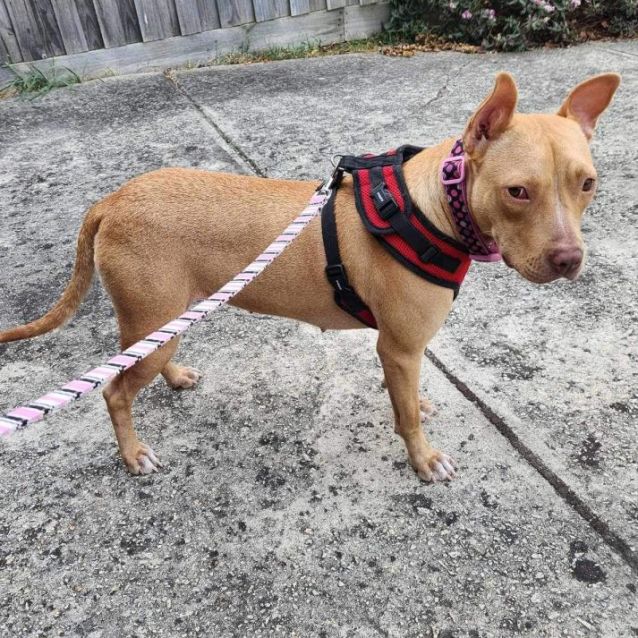 Photo of Thumbelina