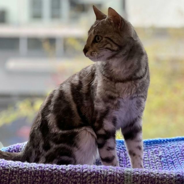 Photo of Django