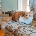 Photo of Matilda