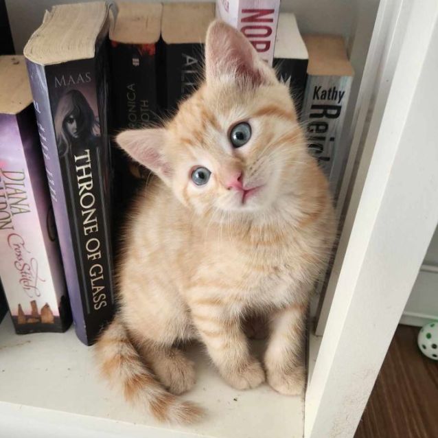 Photo of Tom