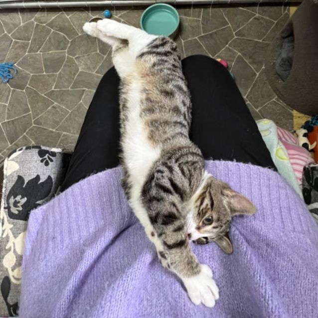 Photo of Soda   Can Assist With Transport