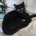 Photo of Agatha