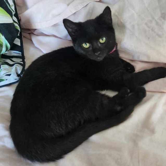 Photo of Agatha