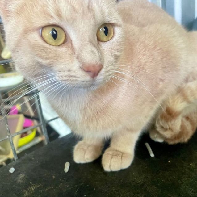 Photo of Prudence