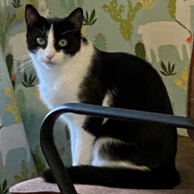 Photo of Geraldine 