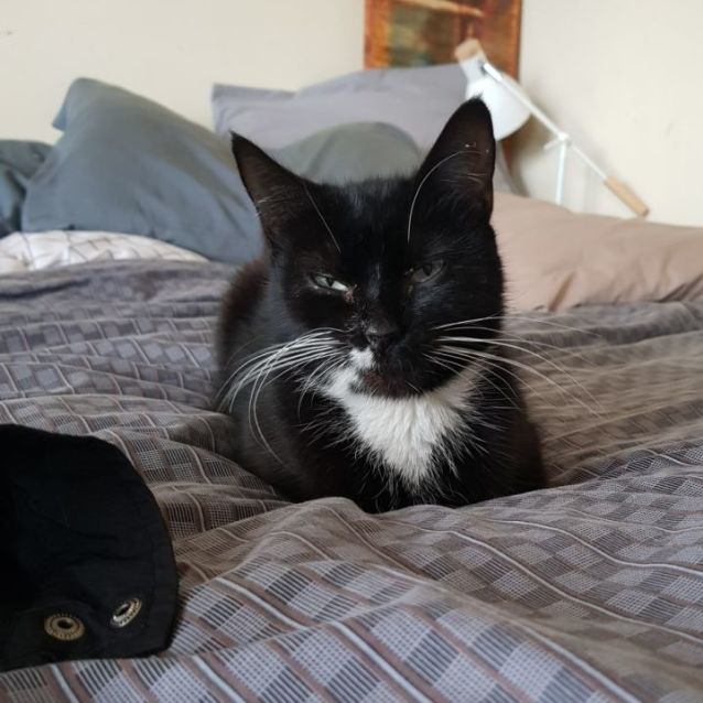 Photo of Ruth 🌷🌷