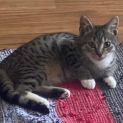 Photo of Charlie