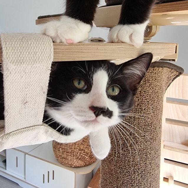 Photo of Monsieur Paul 💙