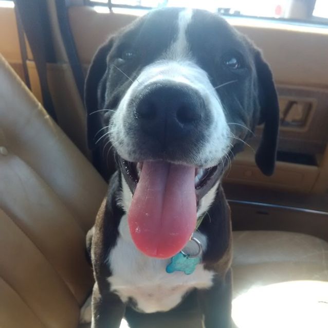 Photo of Aero