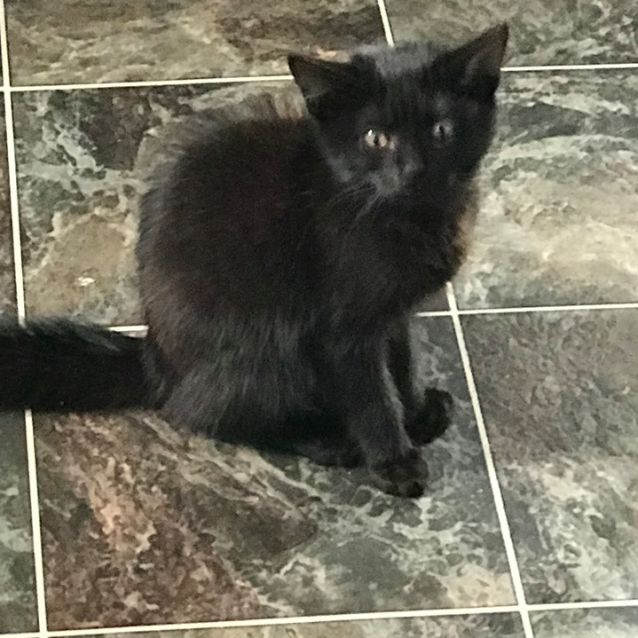 Photo of Gretel