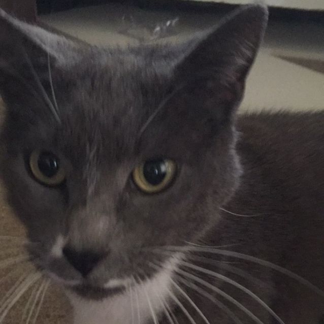Photo of Bonnie
