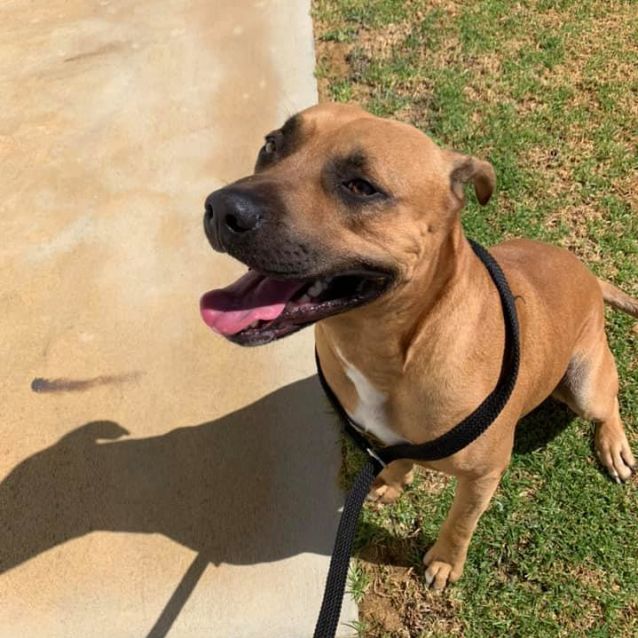 Photo of Paul Dl2318