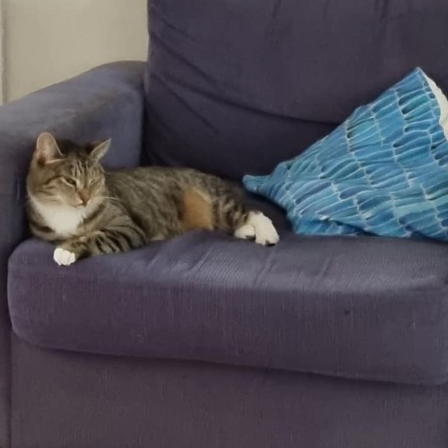 Photo of Sasha